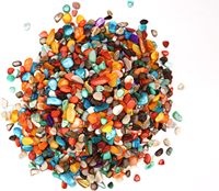 Coquillages naturels concassés de forme irrégulière, taille 2-12 mm, nacre colorée pour vase, filtre, artisanat DIY