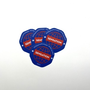 Autocollants de transfert personnalisables en PVC imperméables et résistants aux UV pour l'extérieur Personnalisation d'étiquettes personnalisées d'équipement et d'emballage de casque - Product Image 1