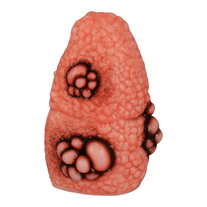 Modèle de poumon fumeur en PVC, taille réelle, comparaison pathologique en coupe transversale, poumon sain vs malade, éducation médicale, santé - Product Image 2