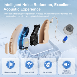 Nouveauté : aides auditives numériques Bluetooth, <span class=keywords><strong>service</strong></span> OEM, aides auditives RIC sans ordonnance, rechargeables avec suppression du bruit - Product Image 4