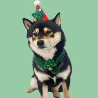 Lot de Foulards de Noël en Laine pour Animaux de Compagnie – Motifs Arbre de Noël et Père Noël pour Chiens et Chats – Idéal Toutes Saisons