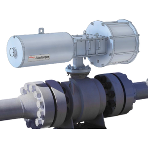 Actionneurs pneumatiques à levier robustes de la série LPS pour Logix 520MD - Product Image 4