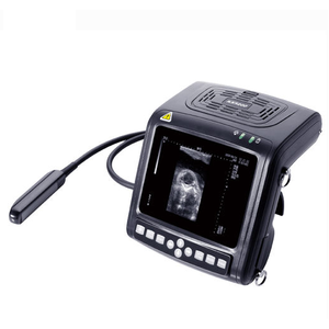 Ultrasons Kaixin KX5200V avec sonde linéaire rectale et sonde convexe et sonde micro-convexe - Product Image 3