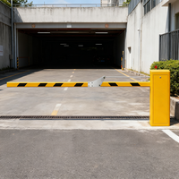 Software de sistema de estacionamiento personalizado de fábrica, sistema de estacionamientos de automóviles inteligentes, barreras de tráfico con puerta de barrera, puerta de barrera, estacionamiento