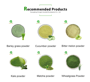 Màu xanh lá cây & khỏe mạnh rau bina nước trái cây bột phun khô nước hòa tan rau bina bột rau bina chiết xuất - Product Image 4