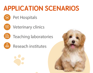 Mx30v <span class=keywords><strong>3</strong></span>-נתחי המטולוגיה וטרינרית-בדיקת דם קומפקטית ציוד מעבדה רב-מינים רפואיים ניתוח אוטומטי מלא - Product Image 3