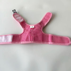 Arnés de gato personalizado de moda de lujo de gran oferta con patrón de fresa para evitar el escape - Product Image 4