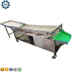 Endüstriyel ekşi tatlı limon ananas zeytin kiraz incir meyve boyutu kalibre makaralı konveyör sıralama endüstriyel greyder makinesi - Product Image 2