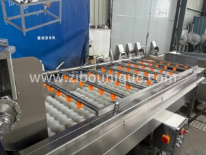 Machine à brosser les légumes racineurs en acier inoxydable 304, idéale pour le lavage des légumes racineurs tels que… - Product Image 5