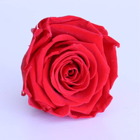 Grosir 50 PCS Bunga Mawar Asli Awet 5 cm Warna Sesuai Pesanan untuk Dekorasi Hari Valentine/Ibu/Ayah