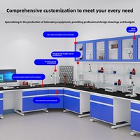 Banco de Laboratorio de Estructura Totalmente de Acero, Banco de Trabajo Personalizado para Laboratorio de Química, Hospital, Escuela, Planificación de Laboratorios, Diseño, Solución Integral
