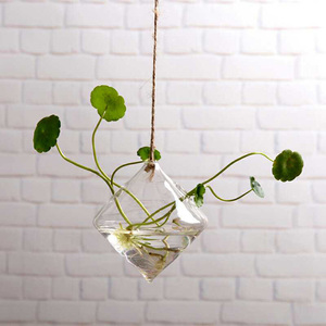 HOT Glass <b>Large</b> Hanging Planters Water Air Plant Succulent Containers Terrarium Kits With Strings Rope for Home Garden Balcony - Product Image 4