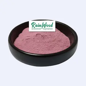 Bulk Price Pure Tart Cherry Juice Concentrate Cherry Extract Sour Tart Cherry Powder amarelle Powder