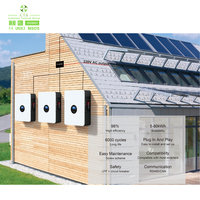 Sistem Penyimpanan Energi Surya Produsen 51.2V 100Ah Powerwall Baterai Lithium Ion LiFePO4 untuk Penggunaan Rumah Tangga