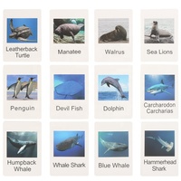 Figuras de Animales Montessori y Tarjetas de Memoria, Juego Educativo de Asociación para Niños de 3 a 6 Años, Juguete de Aprendizaje de Plástico