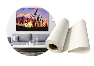 Trung Quốc Nhà máy trực tiếp cung cấp 360gsm không thấm nước Matte in ấn kỹ thuật số vải - Product Image 2