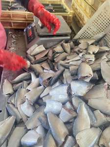 Sardinas de pescado enlatadas de 125G de buena calidad en fábrica de aceite vegetal marca OASIC - Product Image 5