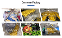 Ligne de production entièrement automatique de chips de banane en acier inoxydable SUS304 de 3,0 mm, 300 kg/h, multi-tension, qualité alimentaire