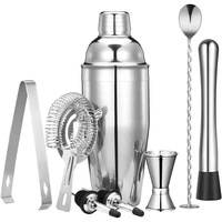 Ensemble de shaker à cocktails en acier inoxydable 9 pièces avec doseur, passoire, pilon, becs verseurs, kit de barman professionnel