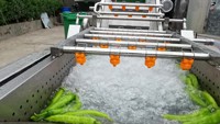 Ozon Systeem Lavadora De Frutas Industriële Fruit Bubbel Wasmachine