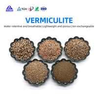 Vermiculite Naturelle Porte-Parfum pour la Préservation des Fragrances