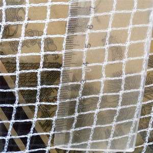 <span class=keywords><strong>Filet</strong></span> transparent pour protéger les oiseaux <span class=keywords><strong>de</strong></span> <span class=keywords><strong>cerisier</strong></span> - Product Image 2