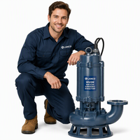 Pompe submersible anti-colmatage WQ QW en fonte et acier inoxydable SS316 0,75-200 kW pour eaux usées municipales et industrielles