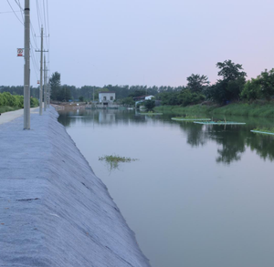 Telo in Cemento per Ingegneria Civile di Facile Installazione per Prevenire l'Erosione delle Sponde dei Laghi - Product Image 4