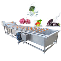 Plantaardige Resten Reinigingsmachine Wortelgroenten Fruit Bubbel Reinigingsmachine Aardbei Wassen Verwerkingslijn