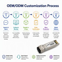 Module émetteur-récepteur Nufiber SFP+ 10G ER 1550nm 40km SMF Duplex LC DDM 10GBASE-ER, branchement à chaud, garantie 3 ans pour centre de données
