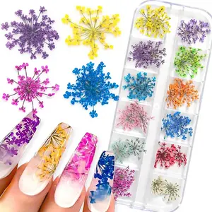 Groothandel 3d Nail Art Bloem Gedroogde Ammi Visnaga Diy Manicure Bedels Ontwerpen Geperste Kant Bloem Voor Nagels Accessoires