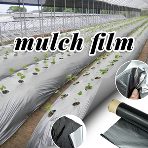 Film de paillage agricole réfléchissant rouge, biodégradable, argenté et noir, prix usine abordable, pour jardin - Product Image 6
