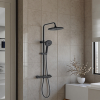 Ensemble de colonne de douche à effet pluie en acier inoxydable chromé noir TM-1005