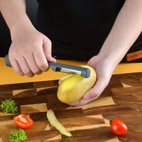 2-in-1 Opvouwbare Snijder Roestvrijstalen Keukenhulpjes Handmatige Fruitmes Groenteschiller Set Keuken Aardappelschiller