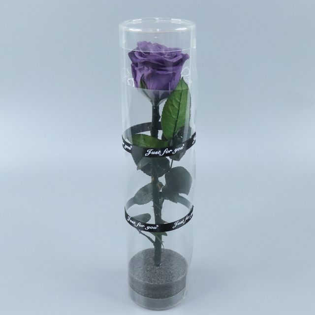 Lavanda