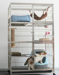 Chinese Modulaire Veterinaire Hond/Kattenkrat/304 Roestvrijstalen Dierenarts Hond Kattenkenneldoos - Product Image 2