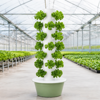 Kit de culture hydroponique pour débutants - Système de culture vertical facile à installer pour le jardin potager à domicile