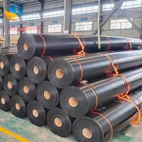 Lámina de Geomembrana de HDPE de 0.2mm a 3.0mm - Impermeable y Ecológica para Aplicaciones en Vertederos y Presas