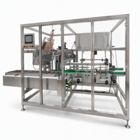 Machine d'emballage horizontale pour boîtes en carton plastique avec fonctions de remplissage et d'étiquetage pour ampoules LED, tubes de dentifrice, cosmétiques, aliments, à moteur