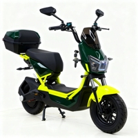 Vélo électrique 1000W à pneus larges et épais, nouveau design, fabriqué en Chine, populaire, exporté en Bolivie