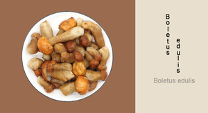 Trung quốc số lượng lớn iqf đông lạnh <span class=keywords><strong>boletus</strong></span> <span class=keywords><strong>edulis</strong></span> nấm Bán hàng nóng - Product Image 4