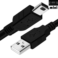 Câble personnalisé OEM 1m 2m USB 2.0 A mâle vers mini USB pour caméra contrôleur PS3