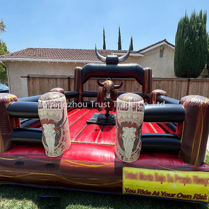 Toro Mecánico de Rodeo para Adultos en Venta, Usado, en Oferta - Product Image 6