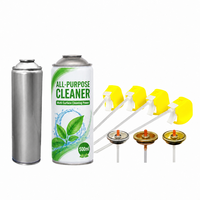 Kaleng Kosong 52mm 57mm 65mm Kaleng Aerosol Tinplate Kosong Dengan Katup, Wadah Semprot Logam Cetak CMYK Kustom Untuk Produk Pembersih