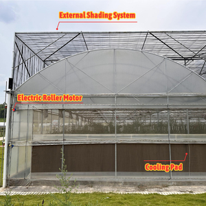 Serre agricole commerciale en film plastique PE multispan, serre gothique tropicale pour la culture des tomates - Product Image 5