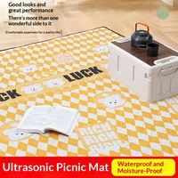 Tapis de pique-nique de printemps avec film argenté, imperméable et anti-humidité, pour la plage, coussin de siège portable non gonflable pour le camping en extérieur