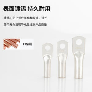 ขั้วต่อสายไฟทองแดงชุบดีบุก รุ่น DTG ขนาด 120 มม. 55 มม. สำหรับการเชื่อมต่อทางไฟฟ้า - Product Image 2