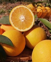 Navel sinaasappelsap drankje fruitsap drankje kant-en-klaar sinaasappel drankje