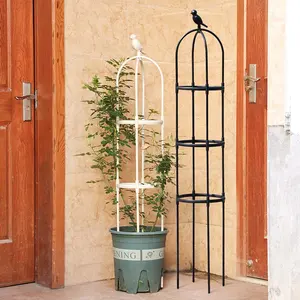 Round Metal White Black Plant Support Wire Cage Garden Plant Support for Climbing Plants