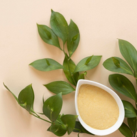 Poudre d'extrait de Cassia Angustifolia Senna Pan de qualité supérieure, ingrédient botanique naturel pour les applications dans les thés, les boissons et les mélanges alimentaires